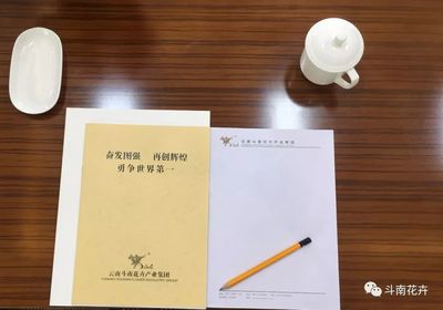 構(gòu)建標(biāo)準(zhǔn)化會(huì)務(wù)服務(wù)體系，鑄就卓越賓客體驗(yàn)